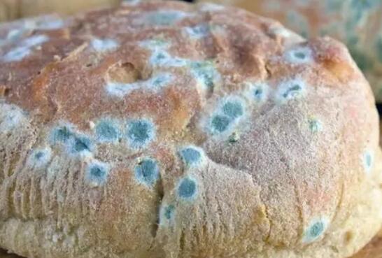 食品添加劑檢測(cè)儀 食品添加劑檢測(cè)儀