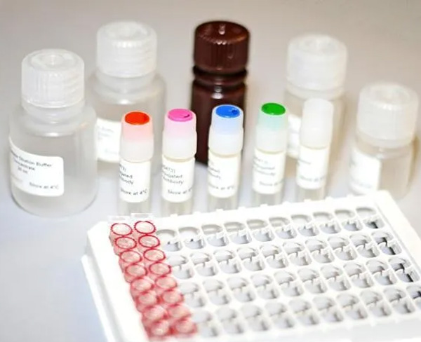 中國的細(xì)胞和基因治療行業(yè),到底有沒有泡沫?