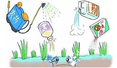 農(nóng)藥殘留快速檢測(cè)儀 農(nóng)藥殘留快速檢測(cè)儀