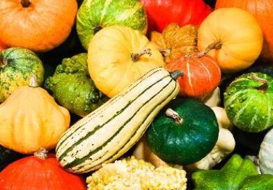 食品安全檢測儀 食品安全檢測儀