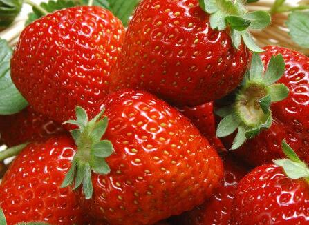 農(nóng)殘快速檢測儀 農(nóng)殘快速檢測儀