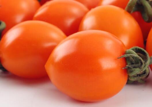 農(nóng)藥殘留檢測(cè)儀 農(nóng)藥殘留檢測(cè)儀