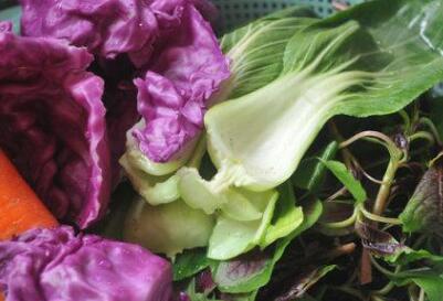 農藥殘留速測儀 農藥殘留速測儀