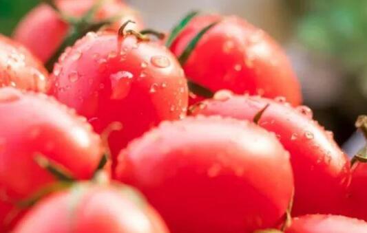 果蔬農(nóng)殘速測(cè)儀 果蔬農(nóng)殘速測(cè)儀