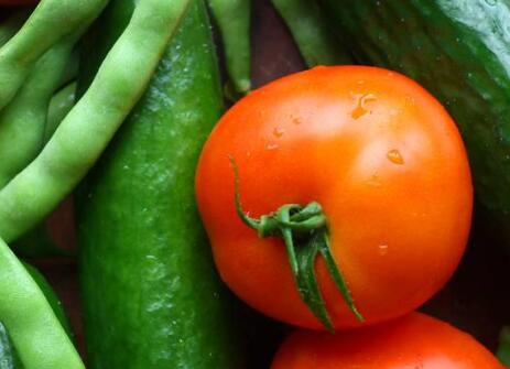 農(nóng)殘快速檢測儀 農(nóng)殘快速檢測儀