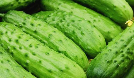 果蔬農殘速測儀 果蔬農殘速測儀